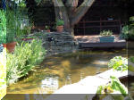 Le jardin aquatique de rêve du Condroz - Printemps 2003 3  11 