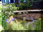 Le jardin aquatique de rêve du Condroz - Printemps 2003 3  18 