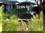 Le jardin aquatique de rêve du Condroz - Printemps 2003 3  24 