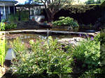 Le jardin aquatique de rêve du Condroz - Printemps 2003 3  31 
