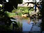 Le jardin aquatique de rêve du Condroz - Printemps 2003 3  38 