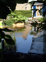 Le jardin aquatique de rêve du Condroz - Printemps 2003 3  39 