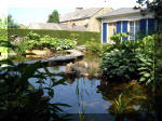 Le jardin aquatique de rêve du Condroz - Printemps 2003 3  41 