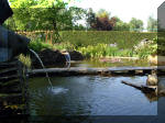 Le jardin aquatique de rêve du Condroz - Printemps 2003 4  9 