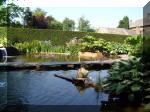 Le jardin aquatique de rêve du Condroz - Printemps 2003 4  45 