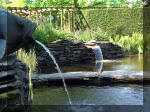 Le jardin aquatique de rêve du Condroz - Printemps 2003 4  4 