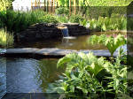 Le jardin aquatique de rêve du Condroz - Printemps 2003 4  3 