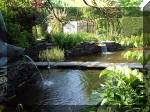 Le jardin aquatique de rêve du Condroz - Printemps 2003 4  8 