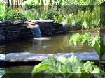Le jardin aquatique de rêve du Condroz - Printemps 2003 4  7 
