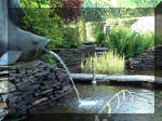 Le jardin aquatique de rêve du Condroz - Printemps 2003 4  10 