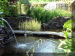 Le jardin aquatique de rêve du Condroz - Printemps 2003 4  14 