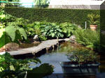 Le jardin aquatique de rêve du Condroz - Printemps 2003 4  18 