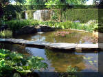 Le jardin aquatique de rêve du Condroz - Printemps 2003 4  41 