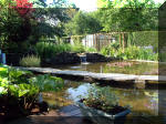 Le jardin aquatique de rêve du Condroz - Printemps 2003 4  32 