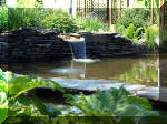 Le jardin aquatique de rêve du Condroz - Printemps 2003 4  27 