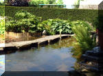 Le jardin aquatique de rêve du Condroz - Printemps 2003 4  26 