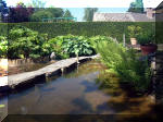 Le jardin aquatique de rêve du Condroz - Printemps 2003 4  28 