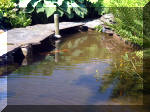 Le jardin aquatique de rêve du Condroz - Printemps 2003 4  30 