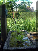 Le jardin aquatique de rêve du Condroz - Printemps 2003 5  4 