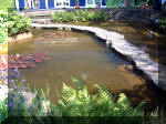 Le jardin aquatique de rêve du Condroz - Printemps 2003 5  15 
