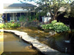 Le jardin aquatique de rêve du Condroz - Printemps 2003 5  8 