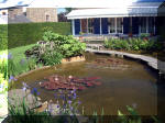 Le jardin aquatique de rêve du Condroz - Printemps 2003 5  10 