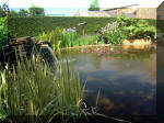 Le jardin aquatique de rêve du Condroz - Printemps 2003 5  9 