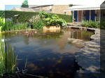 Le jardin aquatique de rêve du Condroz - Printemps 2003 5  12 