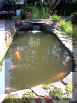 Le jardin aquatique de rêve du Condroz - Printemps 2003 5  21 