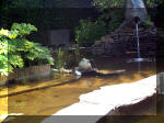 Le jardin aquatique de rêve du Condroz - Printemps 2003 5  35 