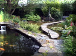Le jardin aquatique de rêve du Condroz - Printemps 2003 6  6 