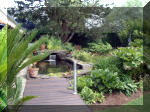 Le jardin aquatique de rêve du Condroz - Printemps 2003 6  17 