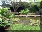 Le jardin aquatique de rêve du Condroz - Printemps 2003 6  7 