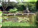 Le jardin aquatique de rêve du Condroz - Printemps 2003 6  12 
