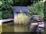 Le jardin aquatique de rêve du Condroz - Printemps 2003 6  10 