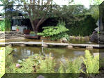 Le jardin aquatique de rêve du Condroz - Printemps 2003 6  25 