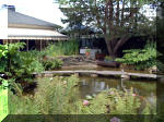 Le jardin aquatique de rêve du Condroz - Printemps 2003 6  18 