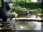 Le jardin aquatique de rêve du Condroz - Printemps 2003 6  29 