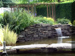 Le jardin aquatique de rve du Condroz - Printemps 2003 7  4 