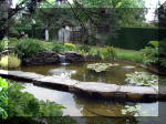 Le jardin aquatique de rve du Condroz - Printemps 2003 7  6 
