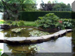 Le jardin aquatique de rve du Condroz - Printemps 2003 7  7 