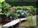 Le jardin aquatique de rve du Condroz - Printemps 2003 7  11 