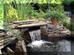 Le jardin aquatique de rve du Condroz - Printemps 2003 7  16 