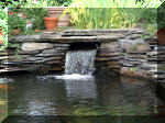 Le jardin aquatique de rve du Condroz - Printemps 2003 7  24 
