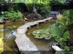 Le jardin aquatique de rve du Condroz - Printemps 2003 7  21 