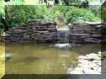 Le jardin aquatique de rve du Condroz - Printemps 2003 7  25 