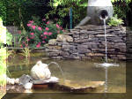 Le jardin aquatique de rve du Condroz - Printemps 2003 7  27 