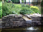 Le jardin aquatique de rve du Condroz - Printemps 2003 7  33 