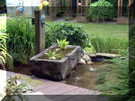 Le jardin aquatique de rve du Condroz - Printemps 2003 7  35 