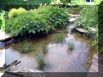 Le jardin aquatique de rêve du Condroz - Printemps 2003 8  10 